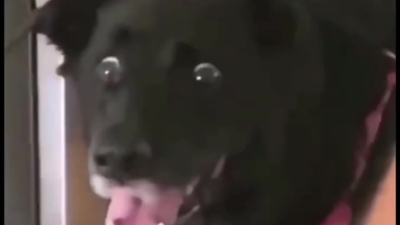 Random tik tok memes