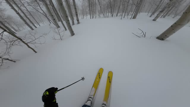 Not quite a white out