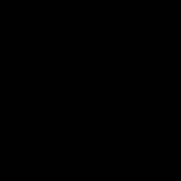 28.10.2024 Sounds of Kuranda