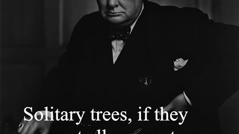 Sir Winston Churchill Quote - Solitary trees...