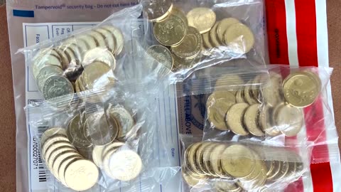 Alleged 'Bluey' coin thief apprehended by Australian police