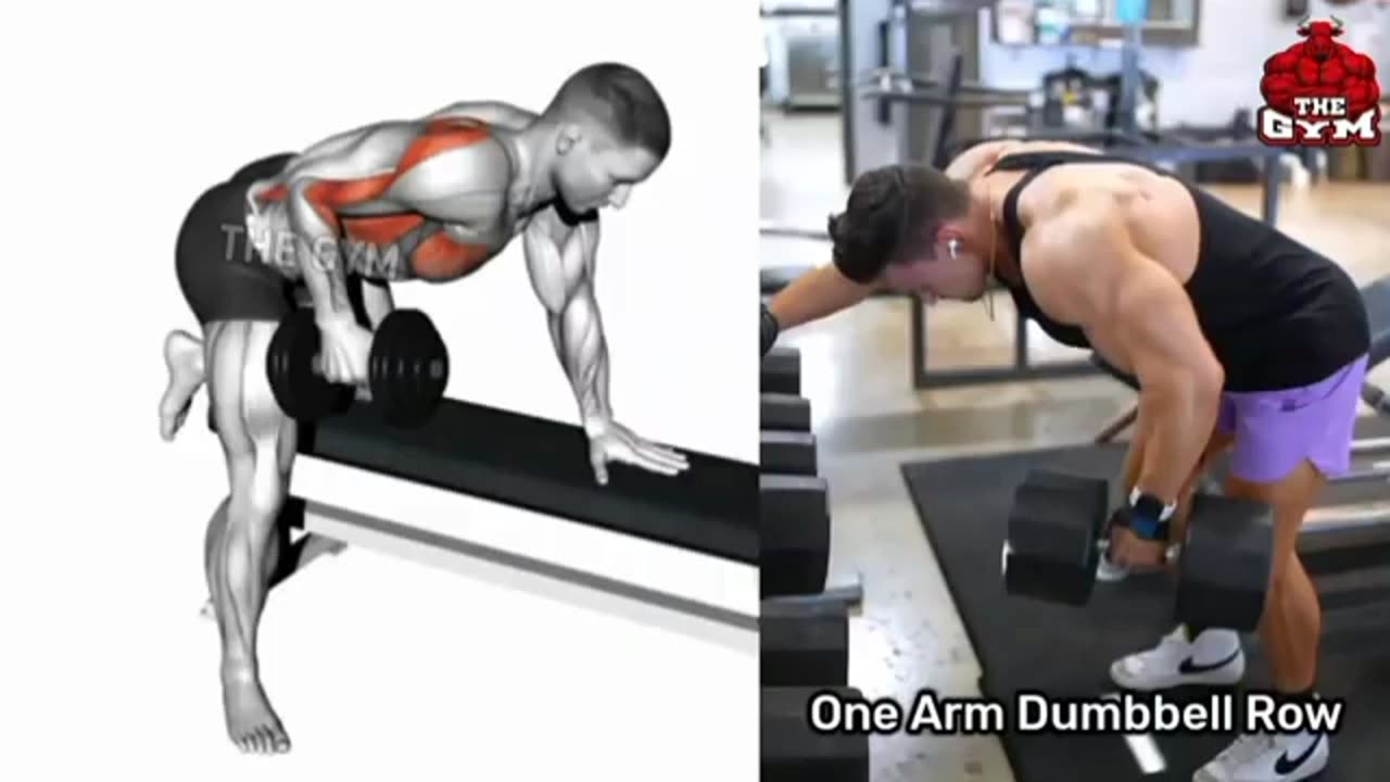 Best back workout in jym