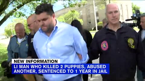 LI man sentenced to jail for animal abuse