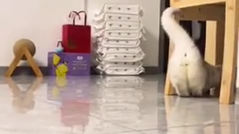 LOL🤣🤣🤣🤣