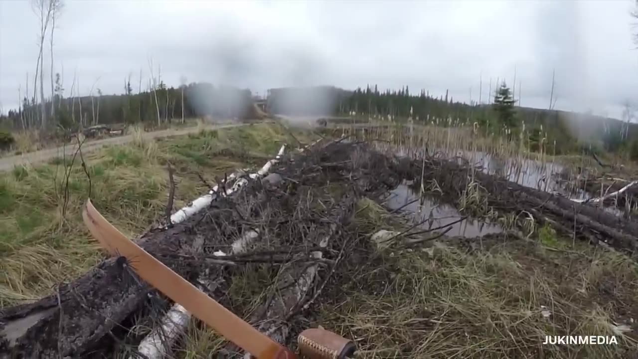 14 Minutes of Wild Animal Encounters