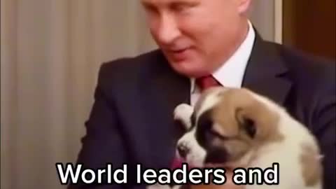 World Leaders and their Dogs 😂