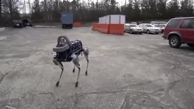 High-tech robot dog