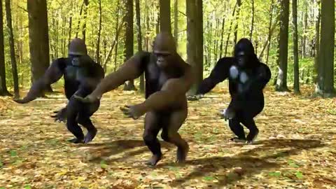 Crazy Things We Do Official Music Video (Dancing Gorillas)_Cut