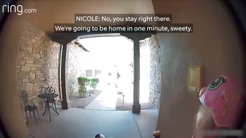 Taylor Talks to Her Neighbor On Ring Video Doorbell After Running Away From a Bobcat _ RingTV