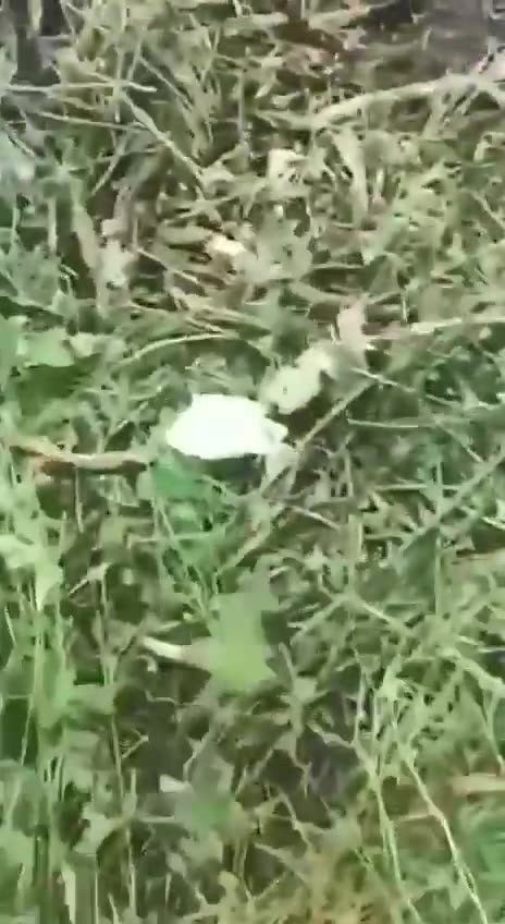 The invaders tried to storm Avdiivka. The assault lasted about ten hours.