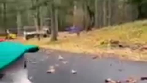 Funny video