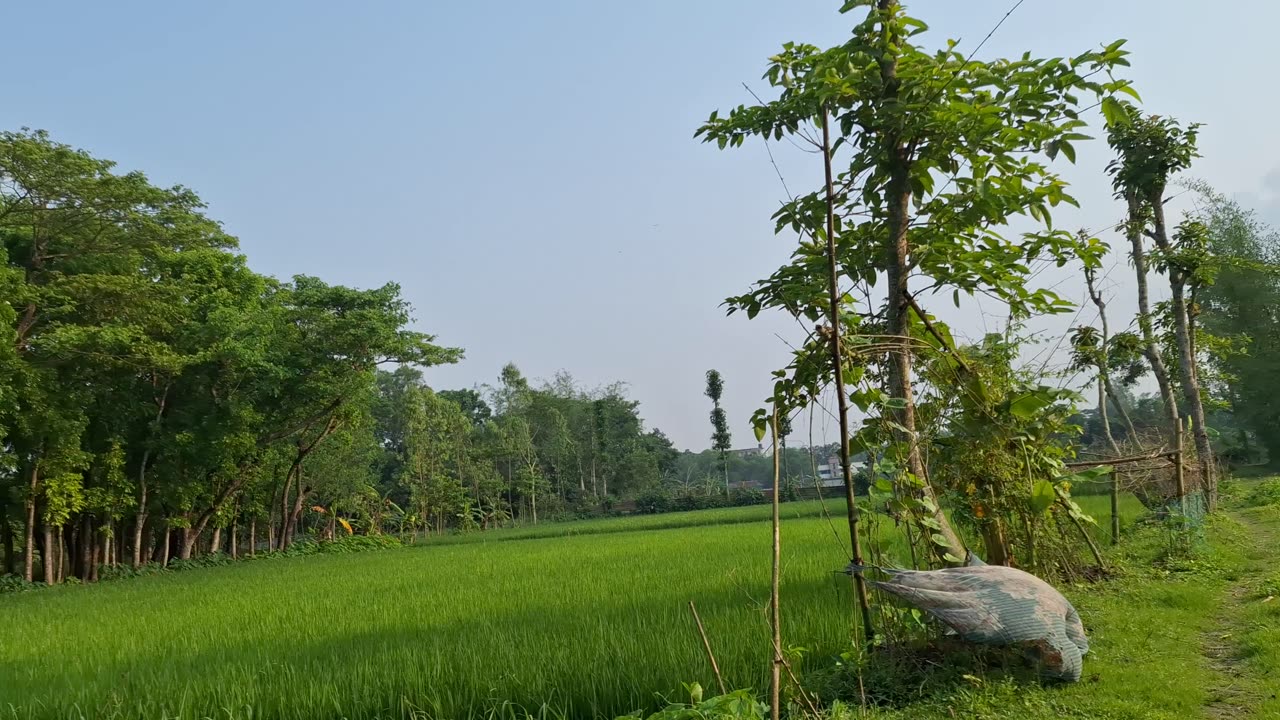 Village natural beauty