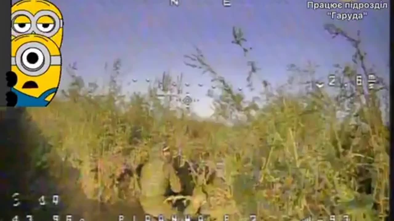 🎯 Ukraine Russia War | 46th Brigade Hunts Russian Soldiers with FPV Drones | Robotyne Axis | RCF