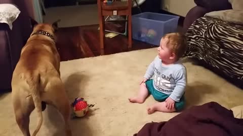 Bubbles and a dog make a baby laugh.