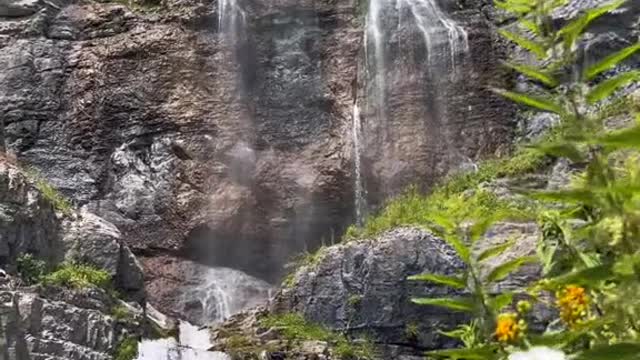 What rejuvenation feels like 🍃💦🌼