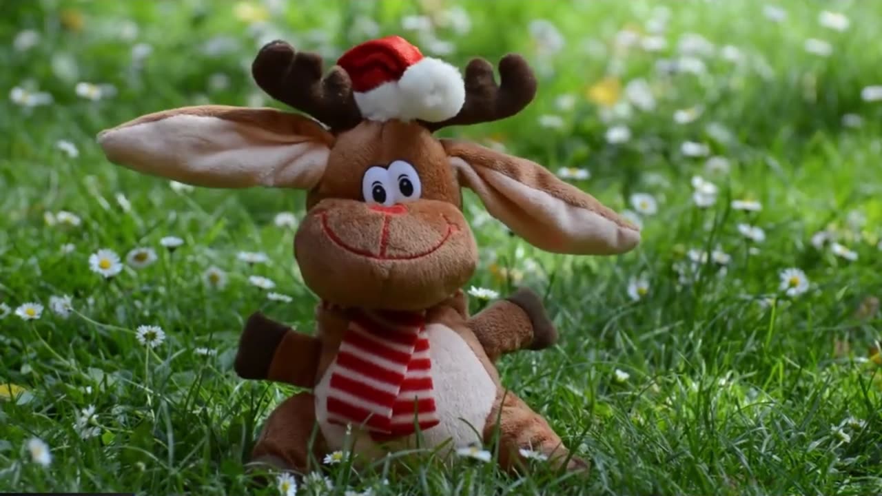 Watch Our Professional Cartoon Dancers Bust a Move to Upbeat Music!