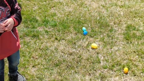 Tomrik getting Easter eggs
