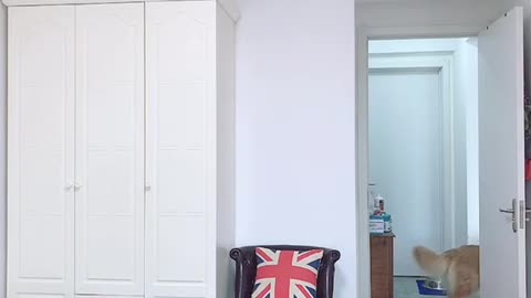 Hide and seek