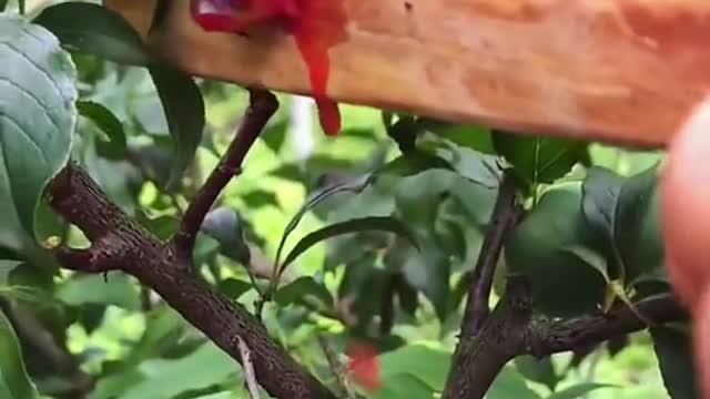 OMG 😱 have a try😋🤤