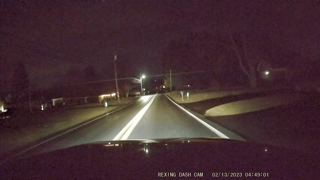 Driver Narrowly Avoids Hitting Stray Dog