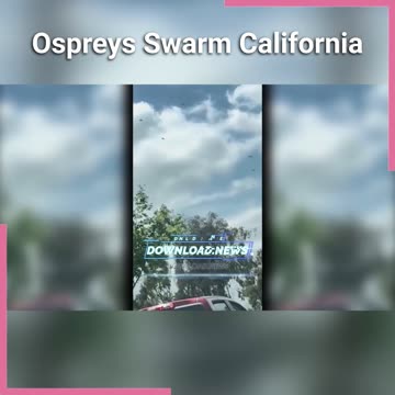 US Military Ospreys Swarm San Diego