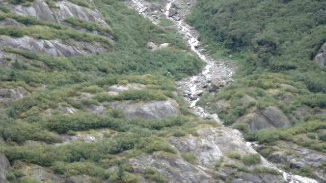 Icy mountain river