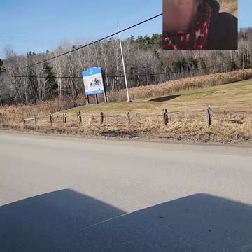 03-08-24 | Traveling Calabogie Back Roads | Part 9 | #shorts