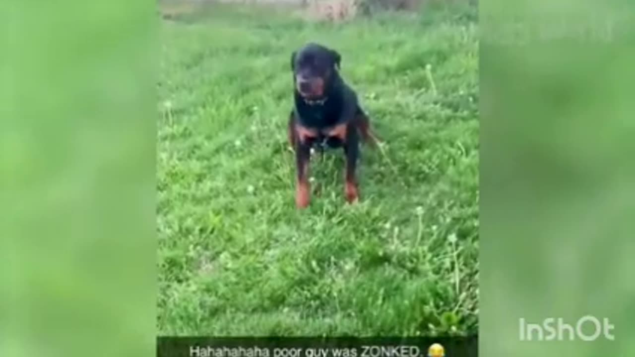 If you don't see it, you will regret it