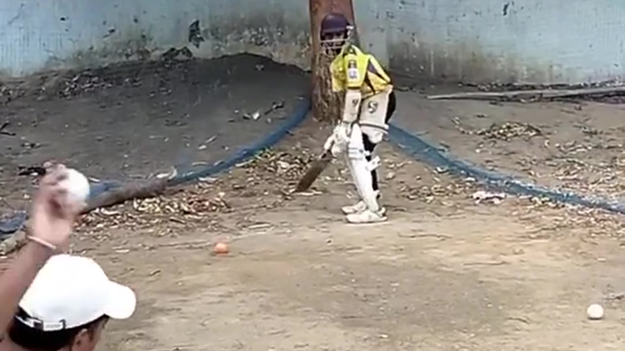 Cricket training