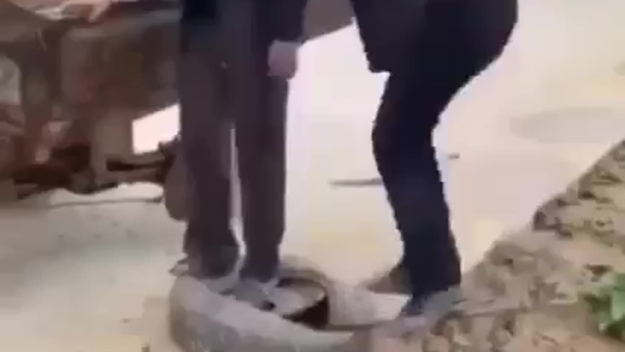 Funny video