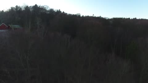 Drone Footage Danish Nature