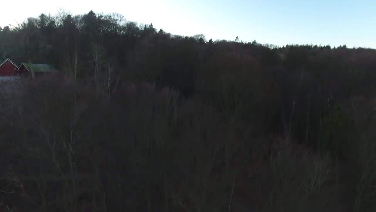 Drone Footage Danish Nature