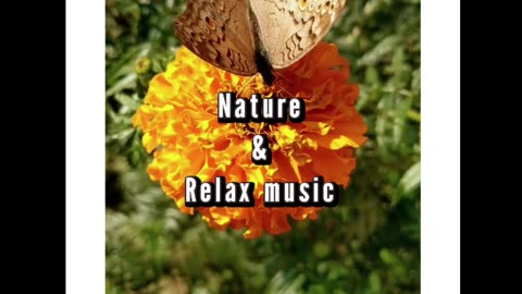 Relaxing music with beautiful nature