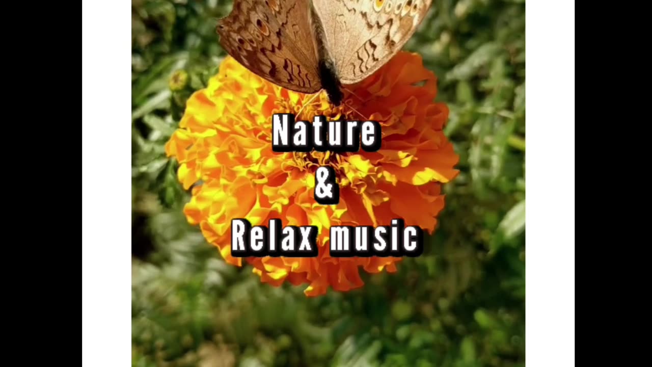 Relaxing music with beautiful nature