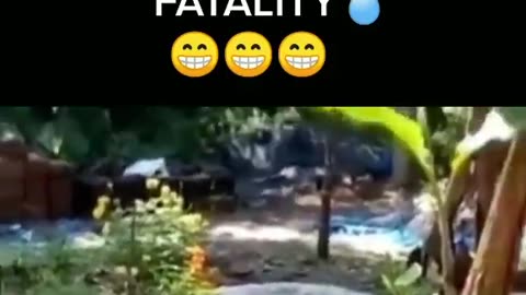 Mortal Kombat