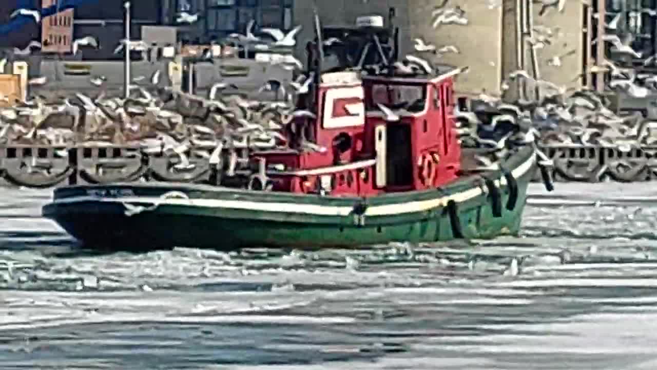 Tug Boat Breaking Up Ice for freighter ship to Enter Cleveland 2/1/22