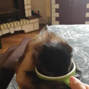 Мирон любит кофе