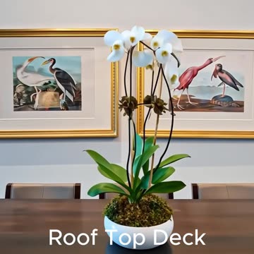 Relocating to Denver Colorado discover this stunning contemporary home in the heart of Hilltop