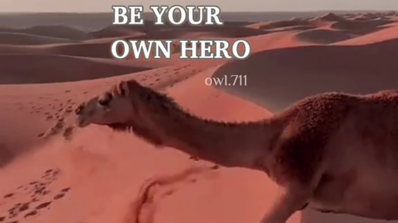 Be your own Hero