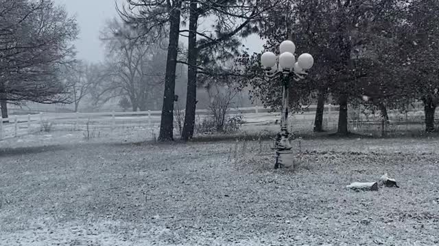 First snow of 2022