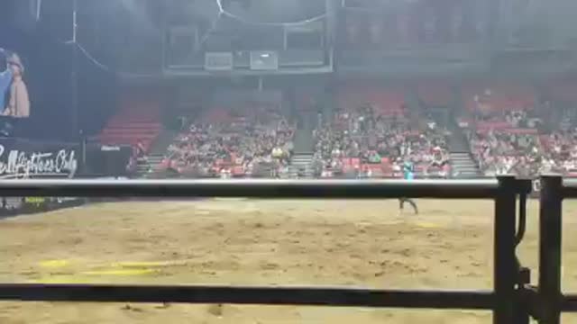 Crazy Bullfighters