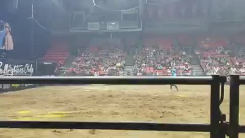 Crazy Bullfighters