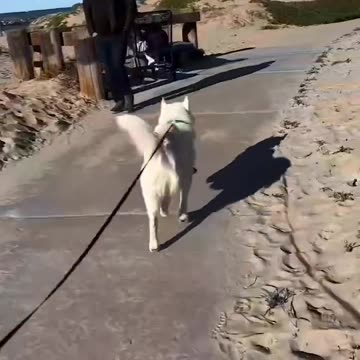 wow what's going on 😂