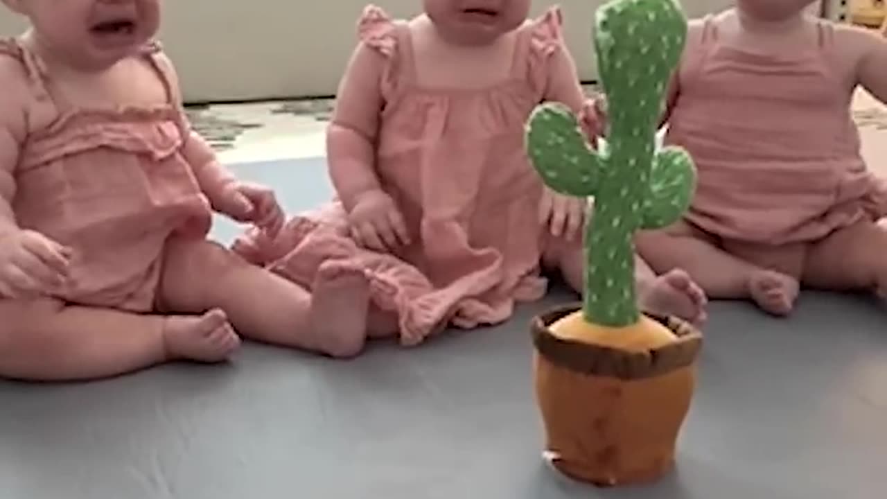 Talking Cactus Toy