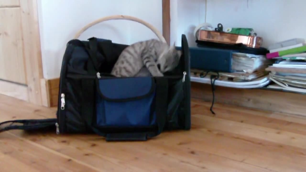 Sock Invaders