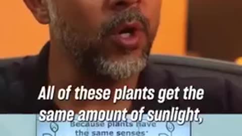 Plant life can be affected by bullying or affirming words from humans...