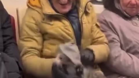 A man dresses a cat in the subway