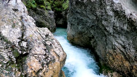 river #nature #river #shorts #short