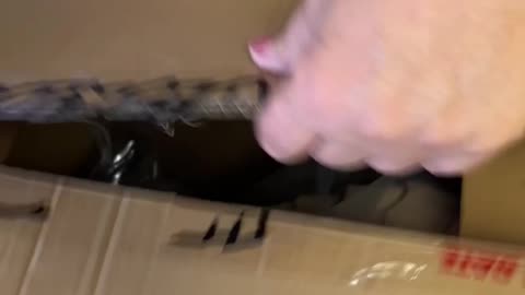 What's in the box now???