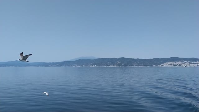 🌞⛴️ Ferry trip, calm sea, sunny day 🌞⛴️